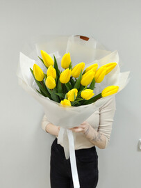 SHikarnie tyul_pani 15 sht