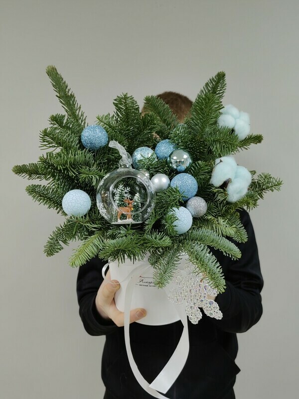 Коробка к Рождеству с нобилисом , стандартный