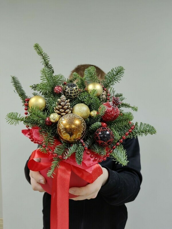 Новогодняя композиция с нобилисом в красно-золотых оттенках. Нобилис и игрушки, стандартный