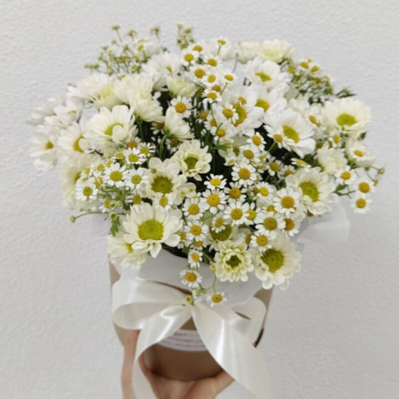 Коробочка с сантини и ромашками. Микс ромашек, стандартный