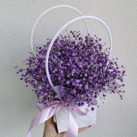 Моно сумочка из гипсофилы 