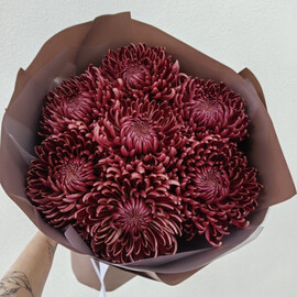 Моно букет из сезонных хризантем Бигуди. Хризантема бигуди в оформлении