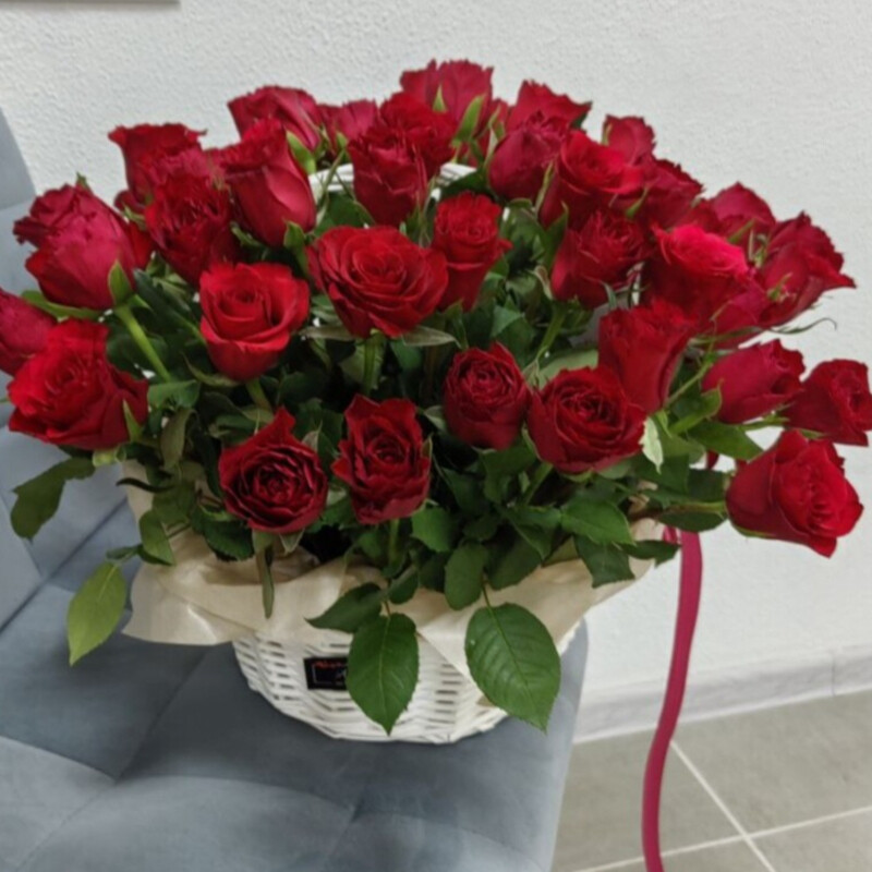 51 red roses of Kenya in a basket, premium