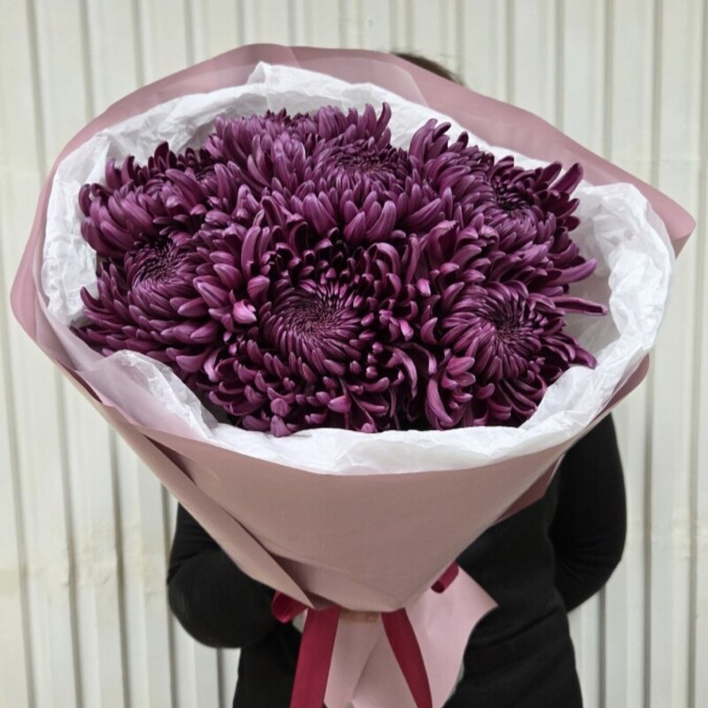 7 Chrysanthemum curlers, standart