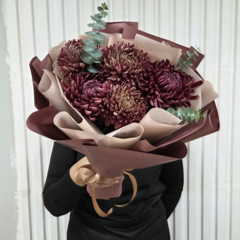 Chrysanthemum curlers with eucalyptus, standart