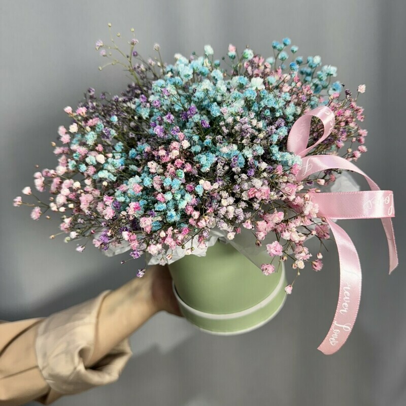 Korobochka Gipsofil, korobochka gipsofil