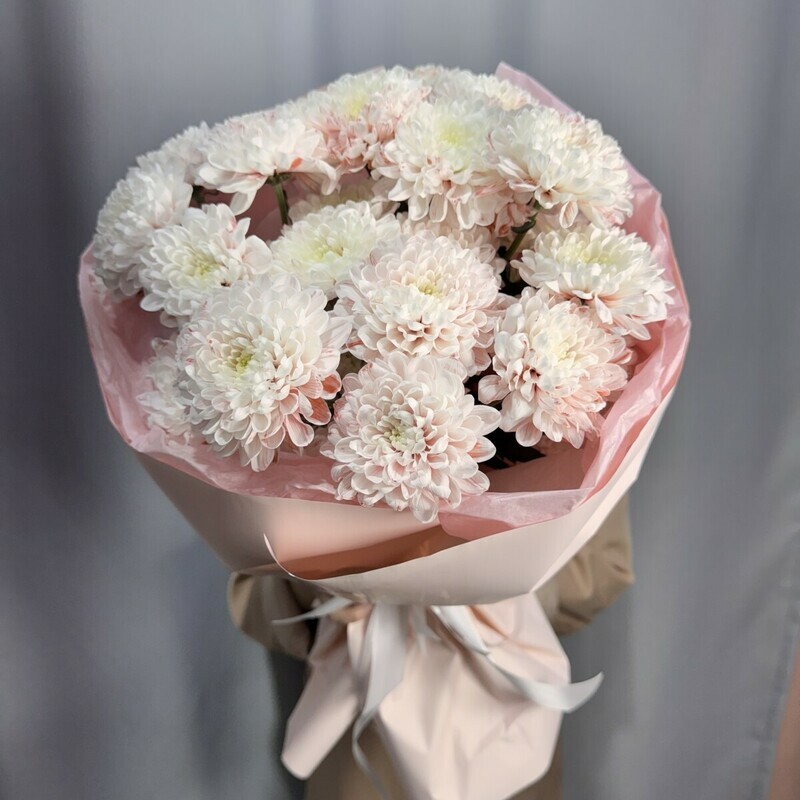 Monobuket kustovih hrizantem, monobuket pudrovih hrizantem