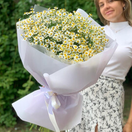 Букет полевых ромашек