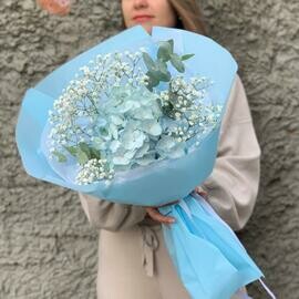 Голубая Гортензия