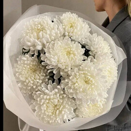 Bouquet of 9 large chrysanthemums