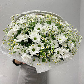 Большая корзина ромашек