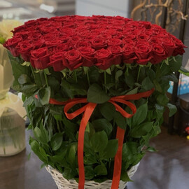 101 шикарная красная роза в корзине