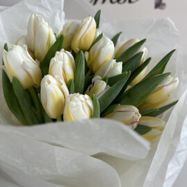 Букет тюльпанов «Скоро весна»