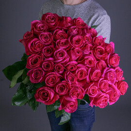 51 малиновая роза Ви Пинк 