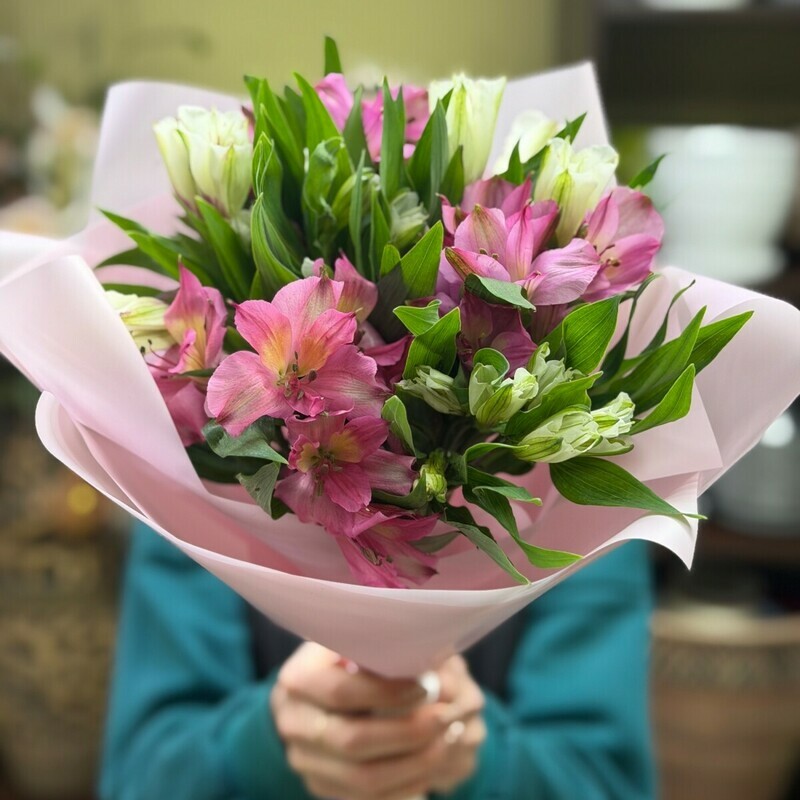 7 ekvadorskih al_stromerij premium, standart