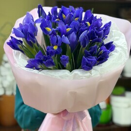 35 синих ирисов в оформлении