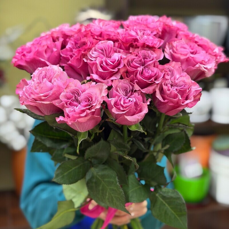 15 пионовидных роз Кантри Блюз, стандартный