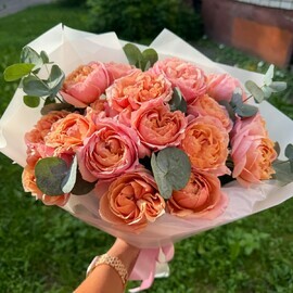 Роза пионовидная кустовая Джульетта