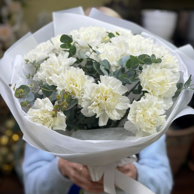 15 belih diantusov (gvozdik), 15 belih diantusov (gvozdik)