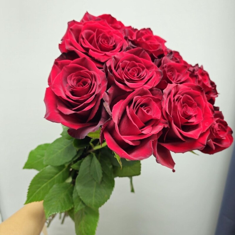 Охапка 13 красных роз Эксплорер арт. 35224, охапка 13 красных роз эксплорер арт. 35224