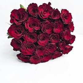 Ohapka 25 krasnih roz pod lentu art. 35140