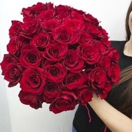 Охапка 41 красная роза под ленту Эквадор арт. 35226