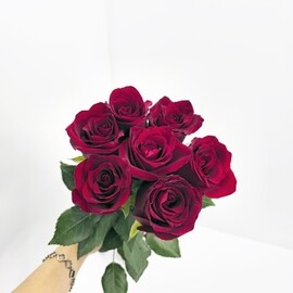 Охапка 7 красных роз под ленту арт. 6263