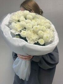 Belosnezhnaya nezhnost_