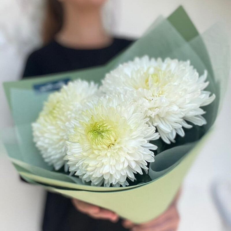 Buket iz 3 odnogolovih hrizantem, buket iz 3 odnogolovih hrizantem