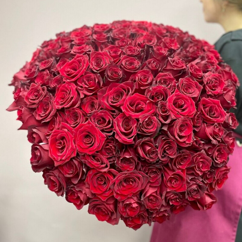 WOW БУКЕТ ИЗ 135 КРАСНЫХ РОЗ ПОД ЛЕНТУ, wow букет из 135 красных роз под ленту