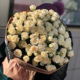 Pionovidnie belo-kremovie rozi