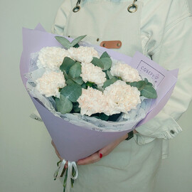 Букет из 7 кремовых гвоздик с эвкалиптом