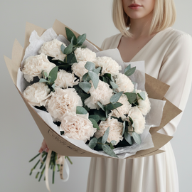 Buket iz 15 kremovih gvozdik s evkaliptom