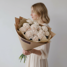 Buket iz 15 kremovih gvozdik