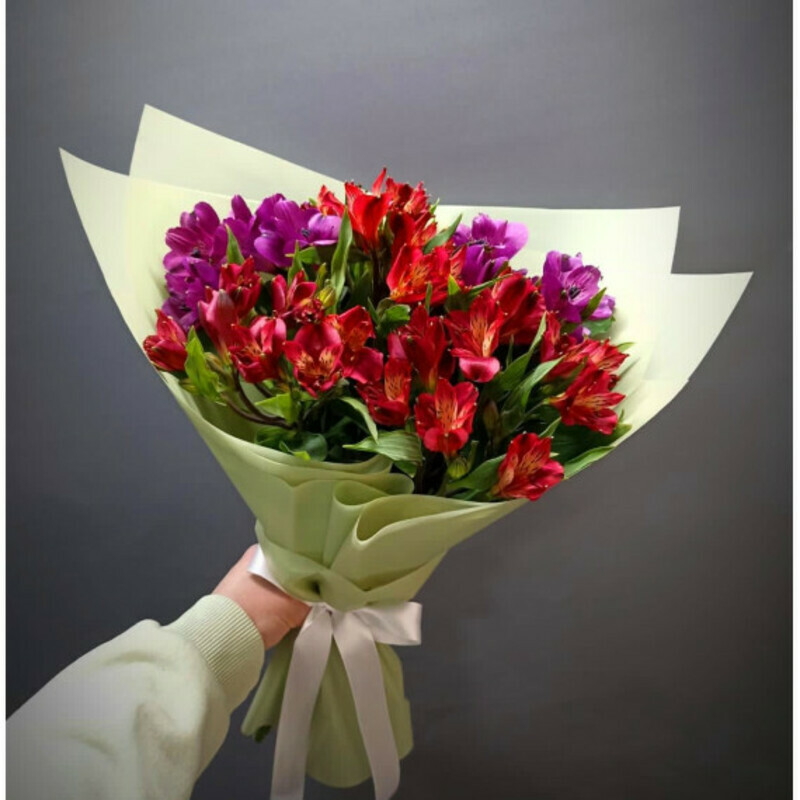 Яркий всплекс, стандартный