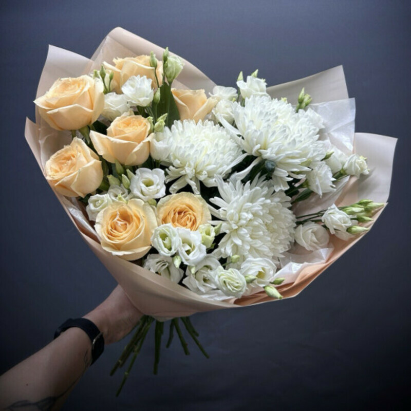 Пастельная симфония, стандартный