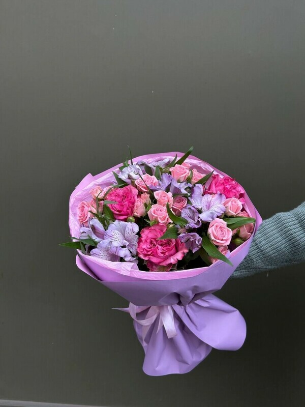 Шепот Саванны, стандартный