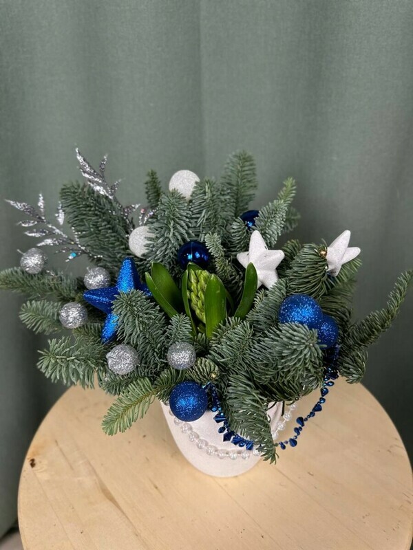 Зимний Гиацинт, стандартный