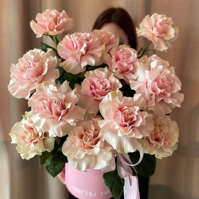 SHlyapnaya korobka iz frantcuzskih roz, standart