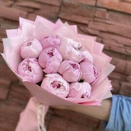 Fragrant varietal peonies