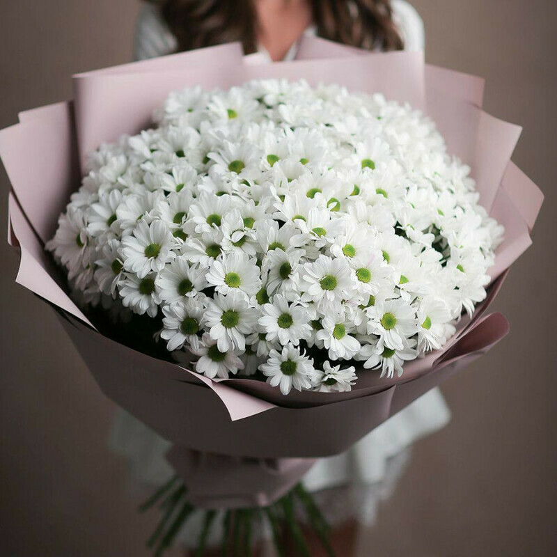 Chamomile chrysanthemums in decoration, premium