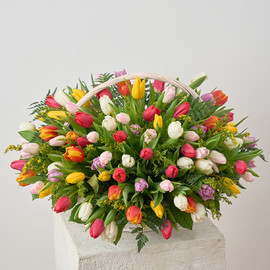 Корзина Фонтан Тюльпанов