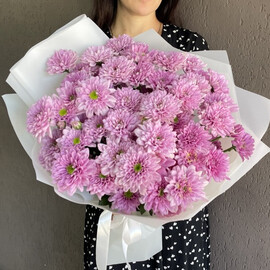 Нежный букет кустовая розовая хризантема