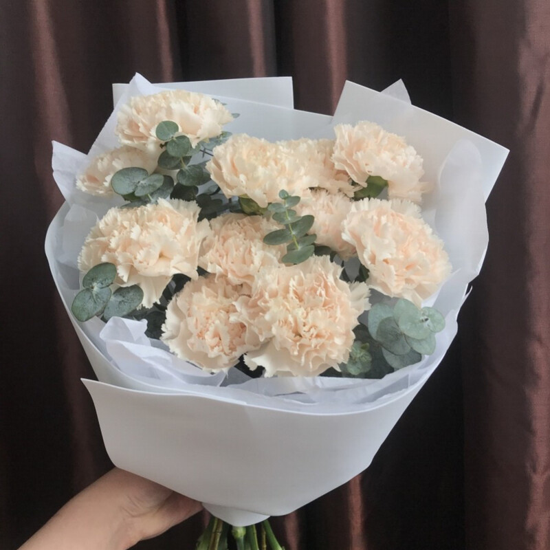 Букет из 11 диантусов с эвкалиптом , букет диантусов