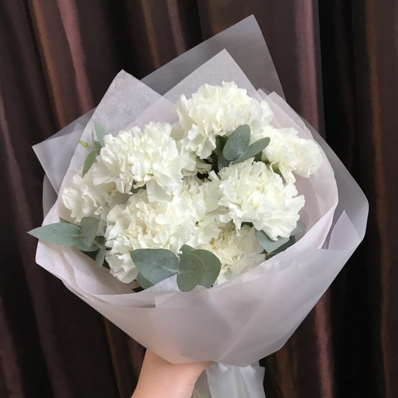 9 белых диантусов, 9 нежных диантусов