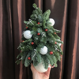 Miniatyurnaya elochka