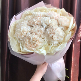 Buket iz 11 nezhnih diantusov