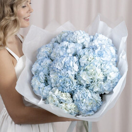 Букет из 15 небесных гортензий