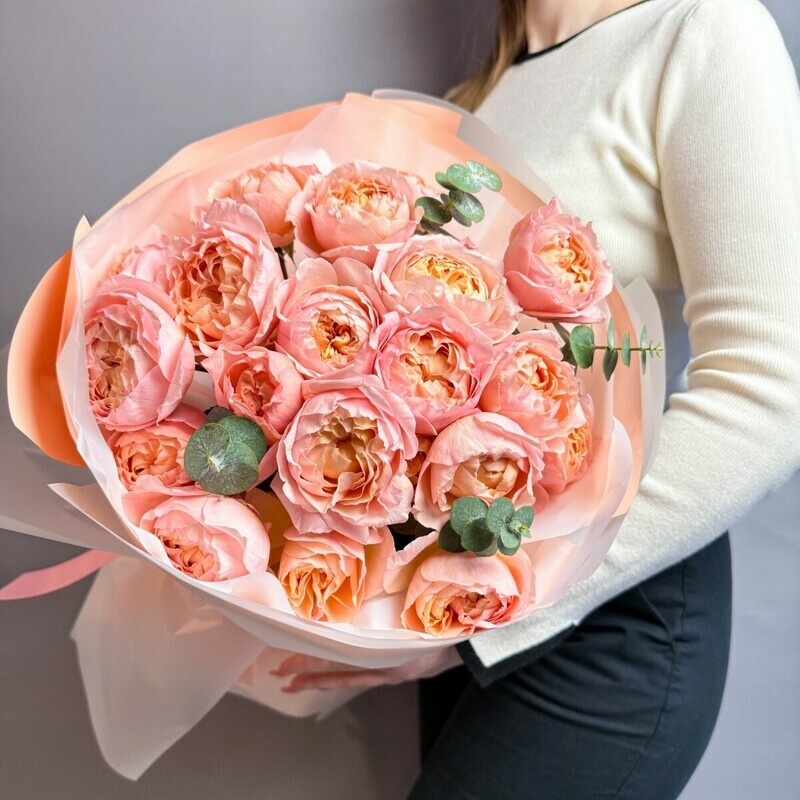 Kustovie pion rozi, kudryavie, ob_emnie i pishnie, kustovie pion rozi, kudryavie, ob_emnie i pishnie  v razmere m