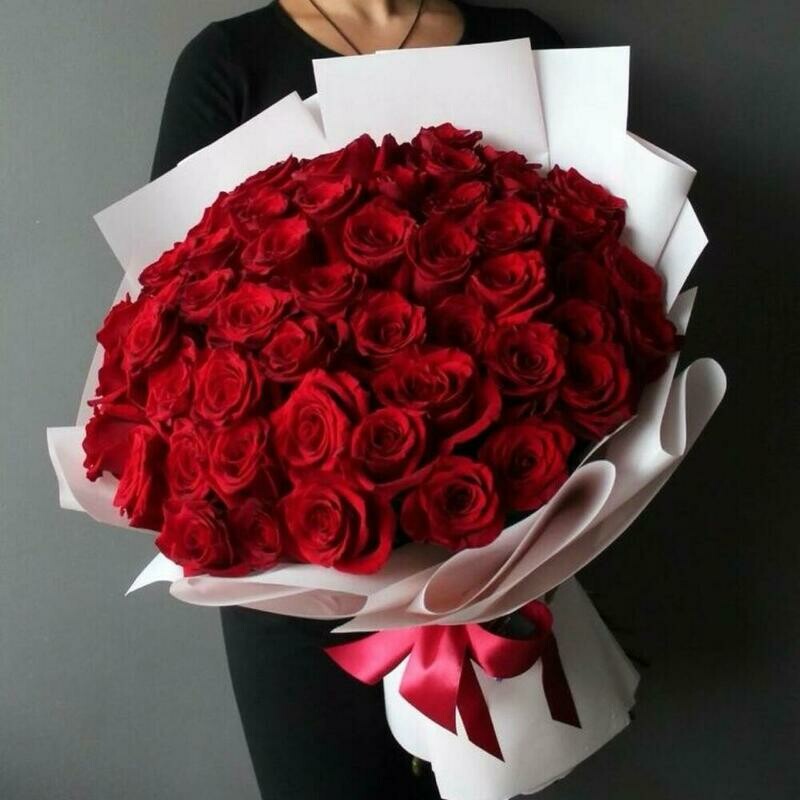 51 Роза в упаковке, 51 роза в упаковке